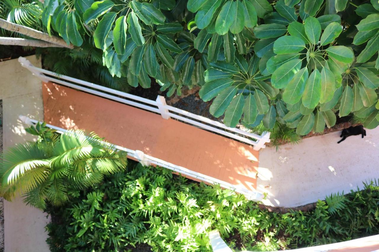 Maui Garden Oasis Villa Lahaina Exterior photo