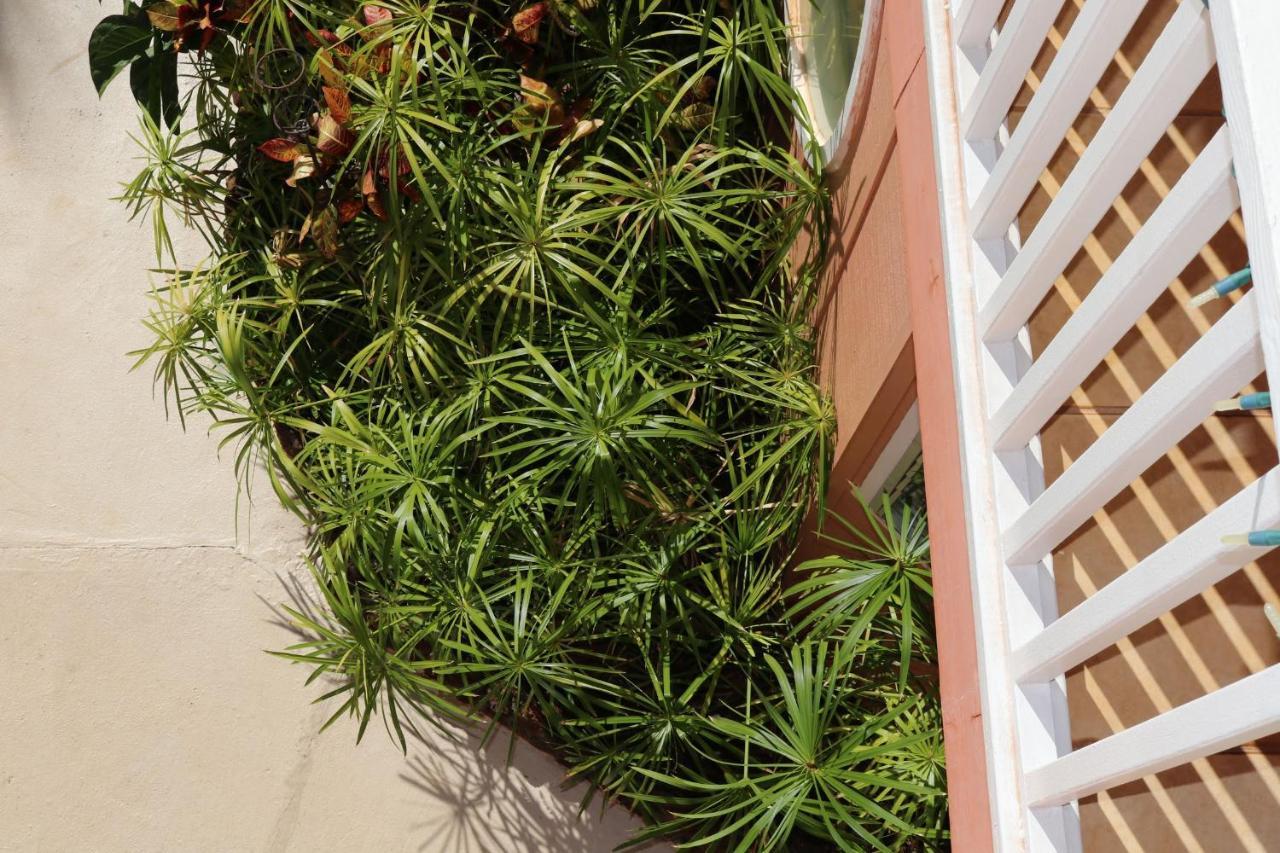 Maui Garden Oasis Villa Lahaina Exterior photo